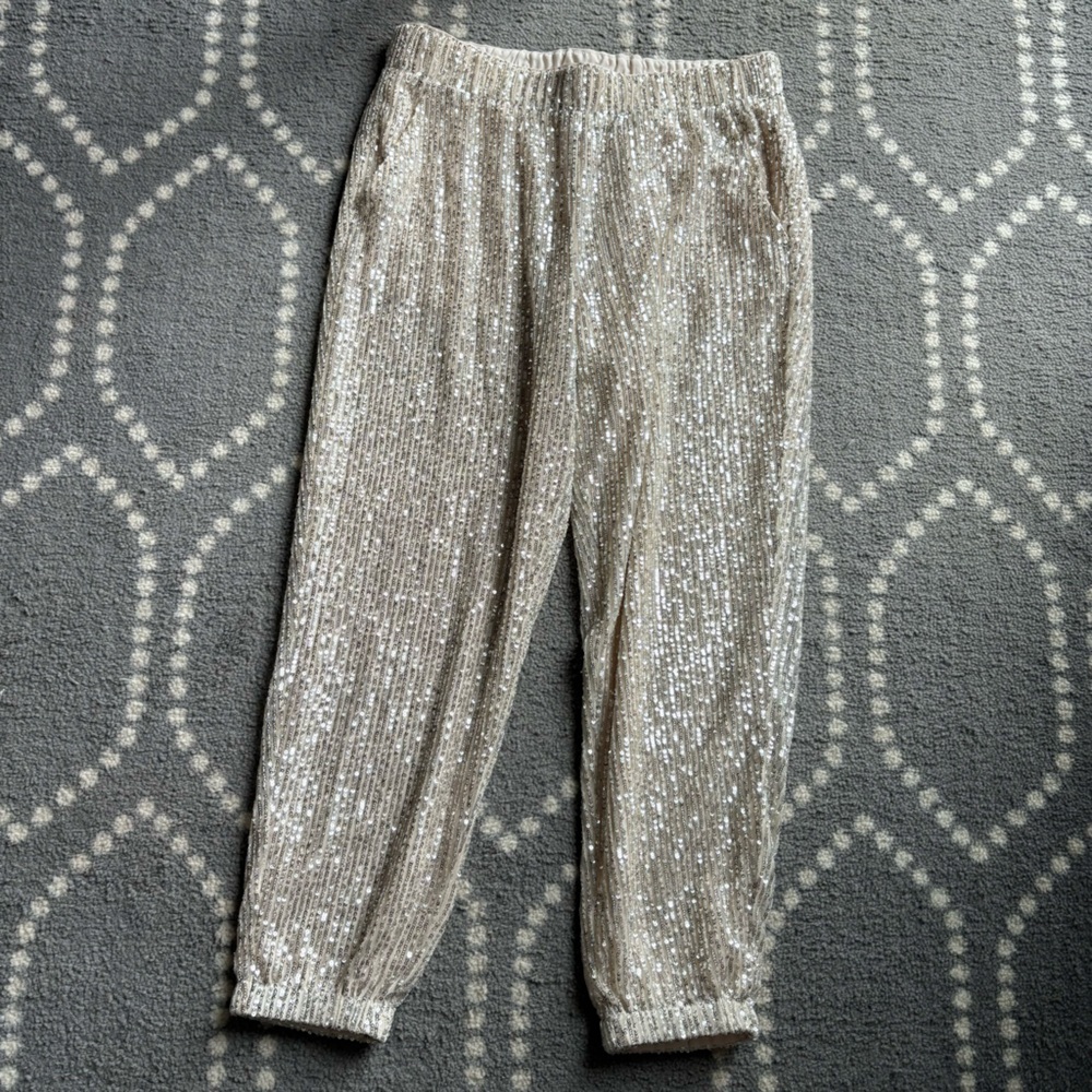 LOFT - Silver Sequin Dress Pants - NEW WITH TAGS!